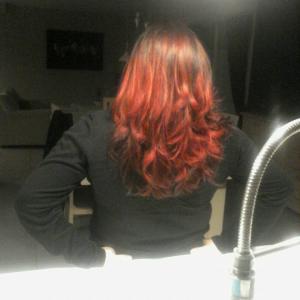 Photos de Tchip enregistrées avec une avis