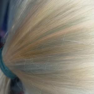 Photos de Self coiff enregistrées avec une avis