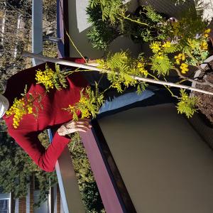 Photos de Studio joey enregistrées avec une avis