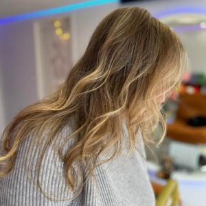 Photos de Le chalon enregistrées avec une avis