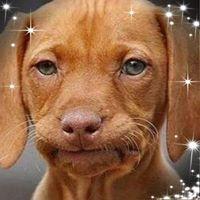 avatar-5b794d1f7ba04