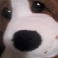 avatar-5fc7f3575bc29