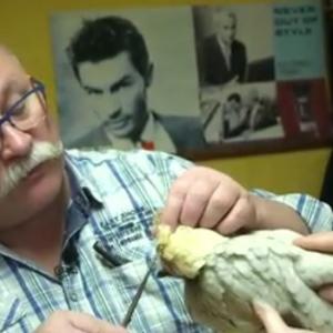 coiffeur spécial volailles