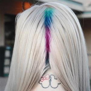 couleur de cheveux hidden rainbow roots été 2017