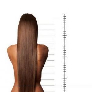 longueur des poils et cheveux