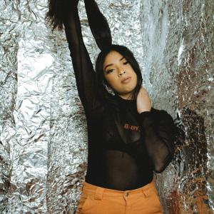 Queue de cheval haute