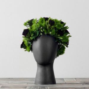 Le vase pour les salons de coiffure