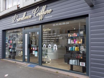 L Excellence Coiffure