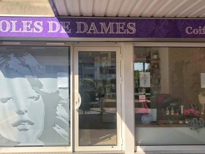 Coiffeur Droles De Dames voir le détail
