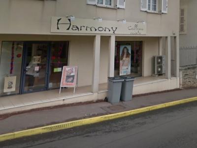 Coiffeur Harmony voir le détail