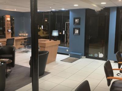 Coiffeur Salon Fabien Brisset voir le détail