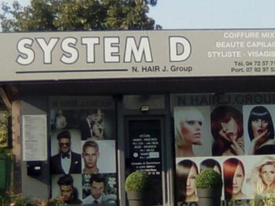 System D