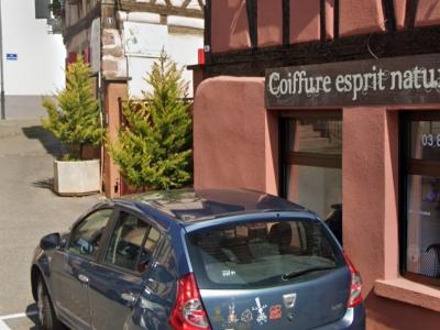 Coiffeur COIFFURE ESPRIT NATURE voir le détail