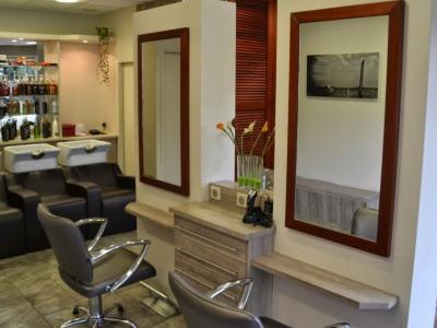 Coiffeur Delphine Coiffure voir le détail