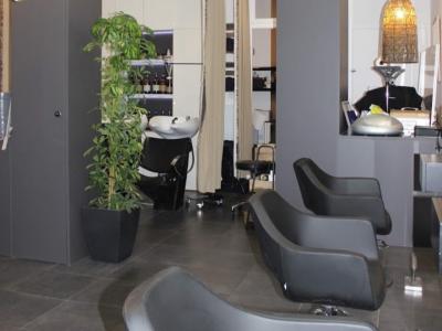 Coiffeur Lollypop voir le détail