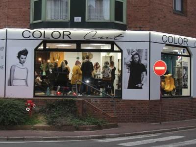 Coiffeur Color Cut voir le détail