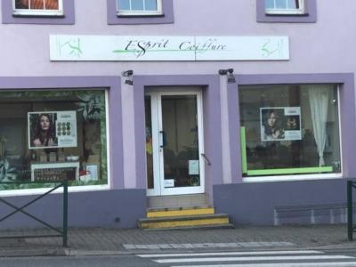 Coiffeur Esprit Coiffure voir le détail