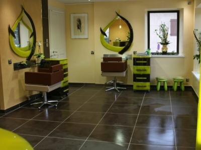 Coiffeur Delphie Coiffure voir le détail