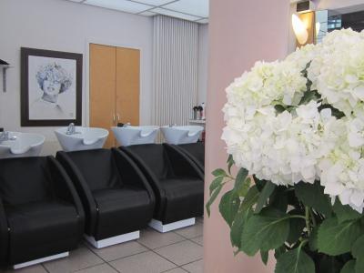 Coiffeur Joaquim Daniel voir le détail