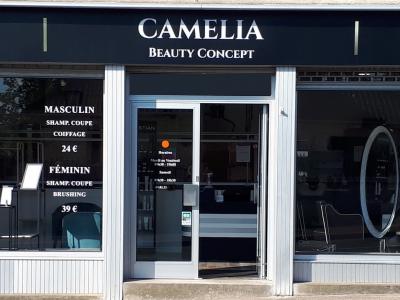 Coiffeur Camelia Beauty Concept voir le détail