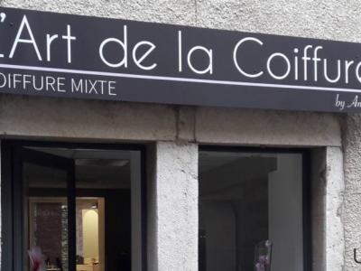 Coiffeur L'art De La Coiffure voir le détail