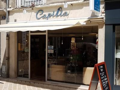Coiffeur Capillia voir le détail
