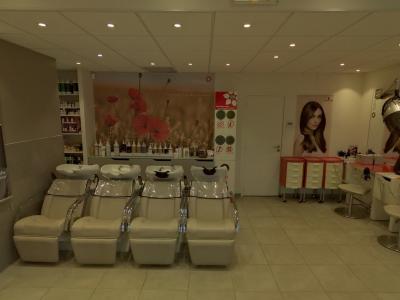 Coiffeur Saint-Algue voir le détail