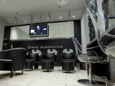 Coiffeur David Alexandre voir le détail