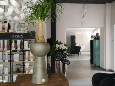 Coiffeur De Mèches Avec Vous voir le détail