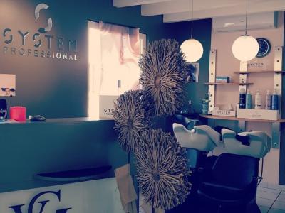 Coiffeur Vanessa Louis Créations voir le détail