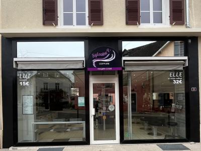 Coiffeur SYLVAINE P. voir le détail