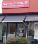 Saint algue coiffure