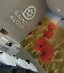 Saint Algue