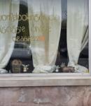 Juan Relooking Studio