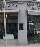 Cynthia & Co