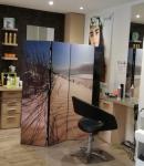 Acajou Coiffure Mixte