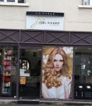 Joel Sicard Les Inedits