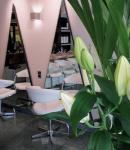 Carita Lagoutte Paule  Indépendante