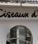 Ciseaux D'or