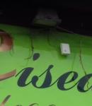 Les Ciseaux de Steph