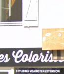 Les Coloristes