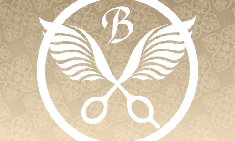 Coiffeur Bird And Co Coiffure Dole