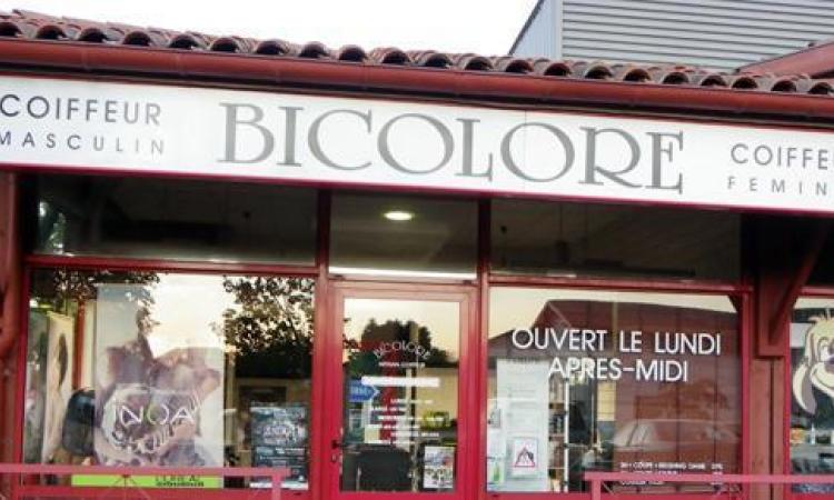 Coiffeur Bicolore Saint-pierre-d'irube