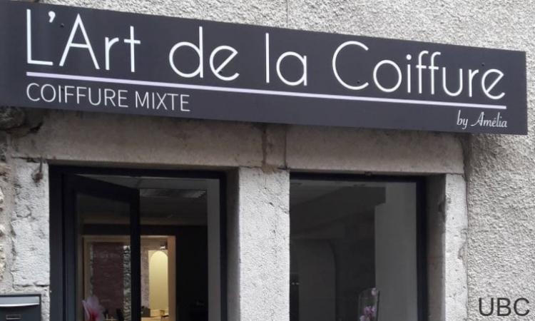 Coiffeur L'art De La Coiffure Vaux-en-bugey