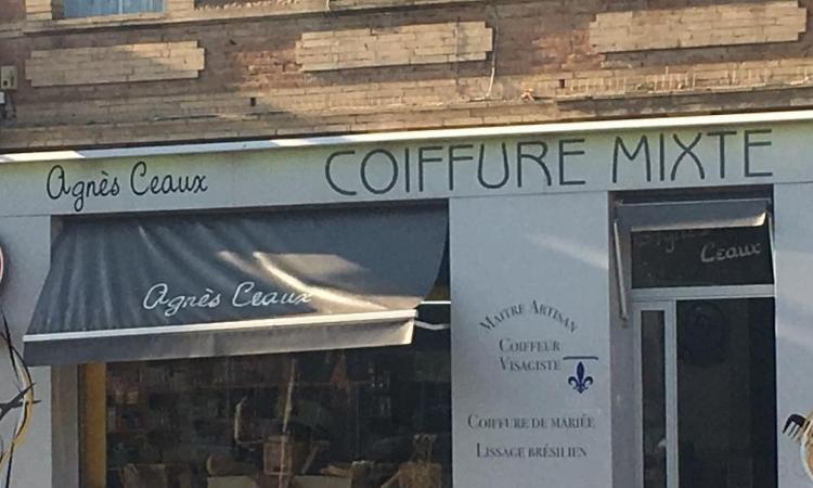 Coiffeur Agnès Ceaux Plaisance-du-touch