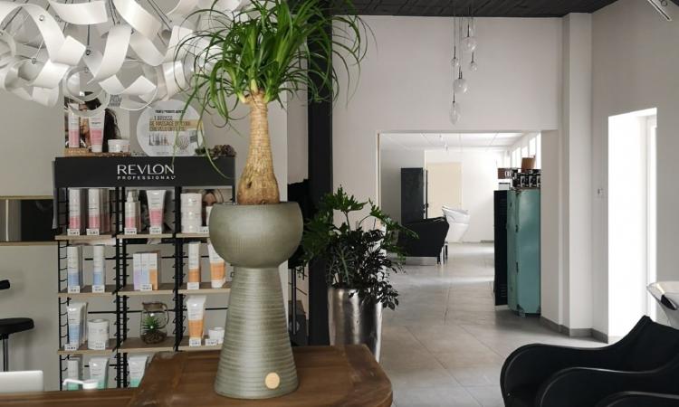 Coiffeur De Mèches Avec Vous Héming