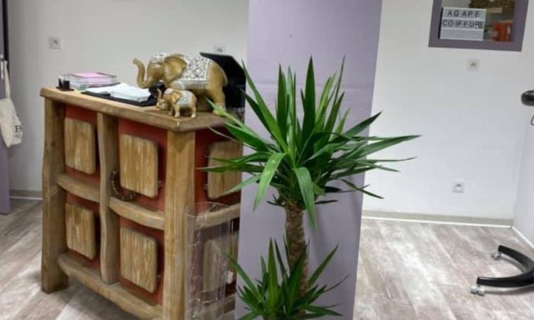 Coiffeur Agape Coiffure Saint-victoret