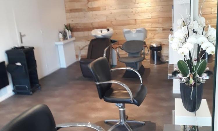 Coiffeur COIF RN Bergbieten
