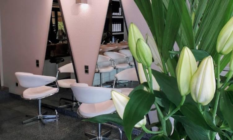 Coiffeur Carita Lagoutte Paule  Indépendante Bordeaux