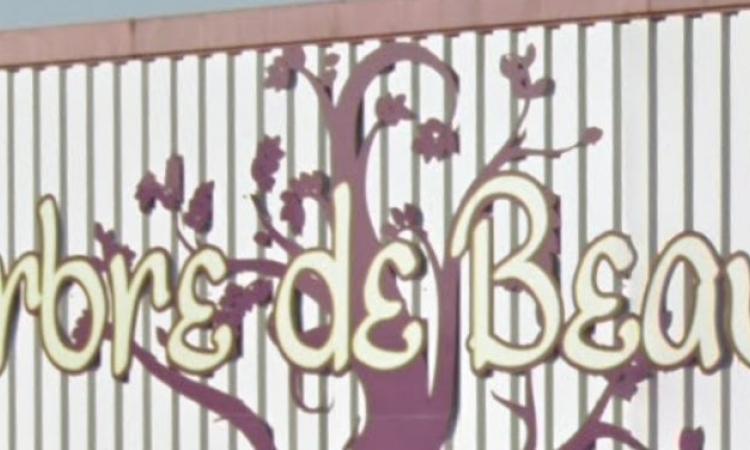 Coiffeur L ARBRE DE BEAUTE Pluduno